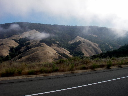 fog in the coastal range