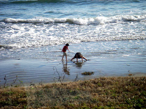 boys at the beach