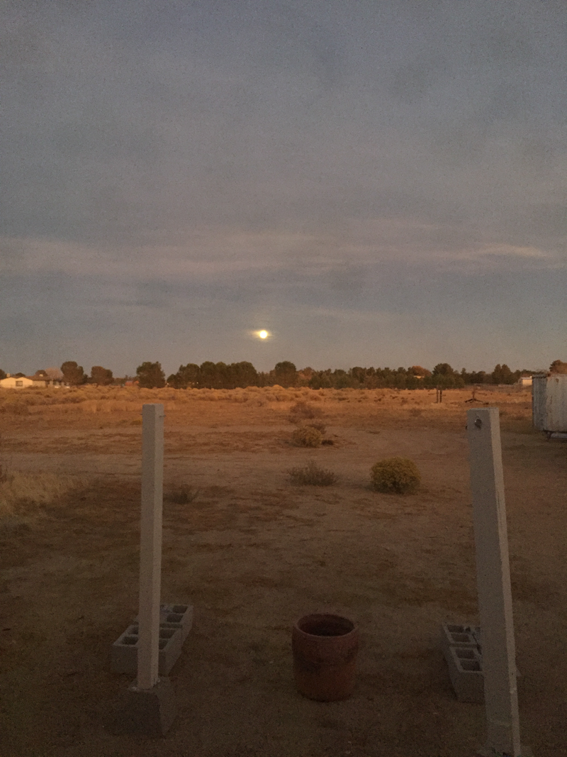 Full moon rising through clouds.